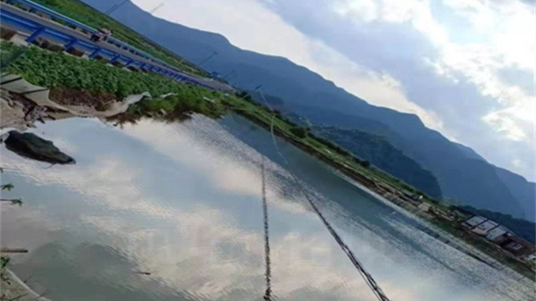 九游网页版·官方端网站|九游(中国)欣网|欣网通信