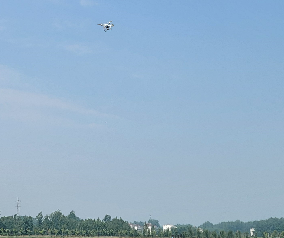 九游网页版·官方端网站|九游(中国)欣网|欣网通信